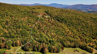 393 B G Partridge Rd, Ashland, NY 12496 - photo 2