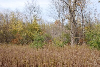 3125 W 1000 N, Potawatami Park, IN 46360 - photo 5