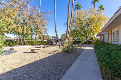 13606 N 109th Ave, Sun City, AZ 85351 - photo 5