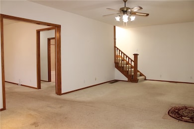 213 N Wood St, Shelbyville, IL 62565 - photo 4