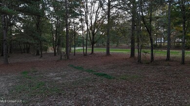 dji_fly_20251106_165426_0447_17630797097