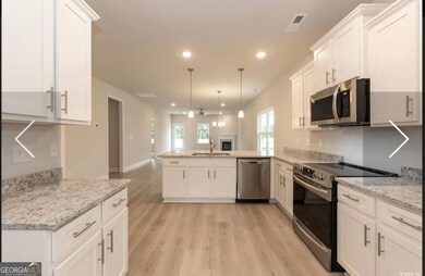 584 Walnut Creek Pkwy, Pendergrass, GA 30567 - photo 6