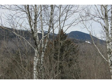 16 Avalanche Way unit 14, Waterville Valley, NH 03215 - photo 3