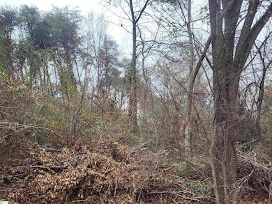 0 Pinecroft Dr, Taylors, SC 29687 - photo 4