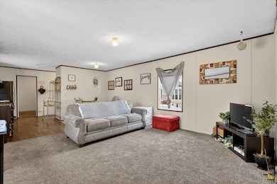 1125 Russell St, Wayland, MI 49348 - photo 2