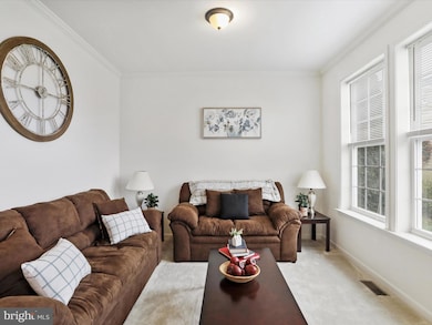 19111 Black Maple Way, Hagerstown, MD 21742 - photo 4