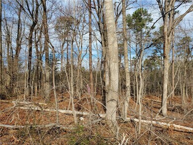 0 Rosemont Rd unit 1131923, Asheboro, NC 27203 - photo 3