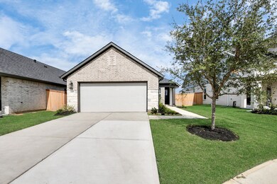20906 Carob Tree Ln, Tomball, TX 77377 - photo 6
