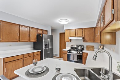 1146 Baythorne Dr unit 103, Flossmoor, IL 60422 - photo 6