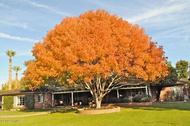 Fall trees