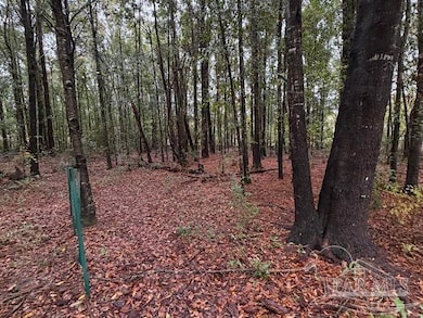 3218 Archies Way, Milton, FL 32571 - photo 2