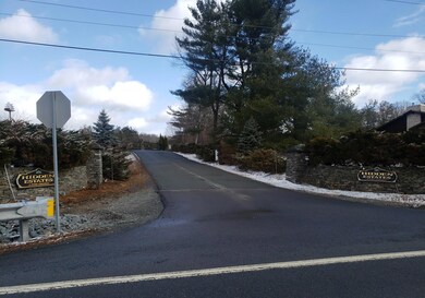 Lot 10 Vallone Way, Blooming Grove Township, PA 18428 - photo 4