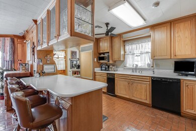 206 Robinhood-11