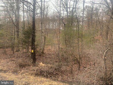 TBD Supinlick Ridge, Edinburg, VA 22824 - photo 5