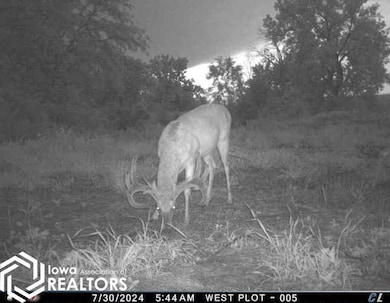 0 Highway 5, Centerville, IA 52544 - photo 6