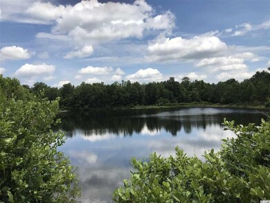 Lot 1 Chow Ln, Conway, SC 29526 - photo 5