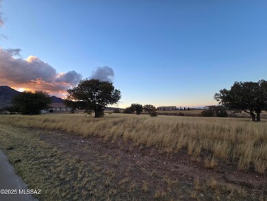 TBD Saddlehorn Cir unit 10, Hereford, AZ 85615 - photo 3