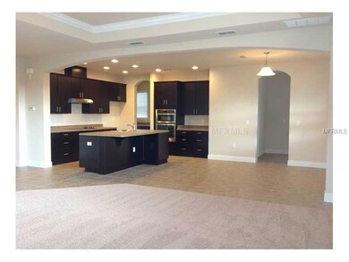 5315 Fishhawk Ridge Dr, Lithia, FL 33547 - photo 3