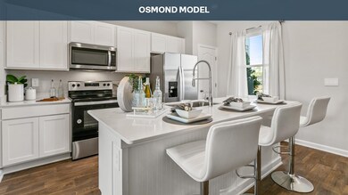 Kitchen featuring dark hardwood / wood-style floor