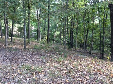 Lot 23 Lune Ln, Bella Vista, AR 72714 - photo 2