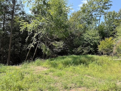 0 Alma Hill Rd unit LotWP001 24749380, Alma, NY 14895 - photo 6