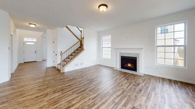 2162 Henning Ln, Yorkville, IL 60560 - photo 3