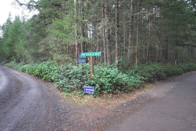 0 Bull Frog Ave SW unit 765129, Port Orchard, WA 98366 - photo 3