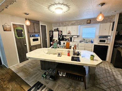 4211 Lowell Ln, Zephyrhills, FL 33541 - photo 3