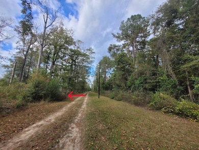 188 Private Road 8040, Kirbyville, TX 75956 - photo 5