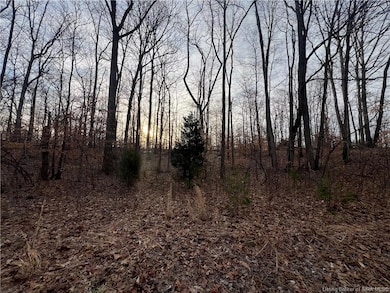 0 Hwy 135 unit Tract 2 2025011289, New Salisbury, IN 47161 - photo 7