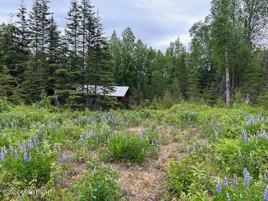 Shed on Property
