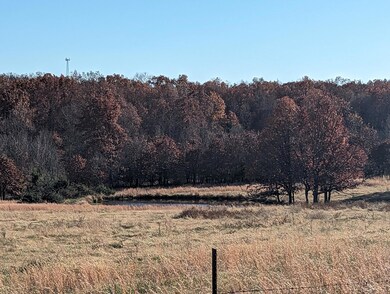 21 acre m/l tract