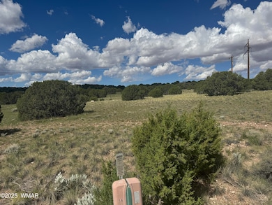 79 Alpine Ln, Concho, AZ 85924 - photo 6