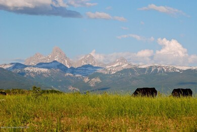 Packsaddle Ranch