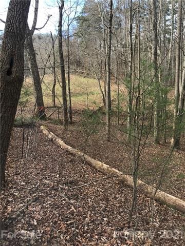 70 Propst Rd unit C, Candler, NC 28715 - photo 7