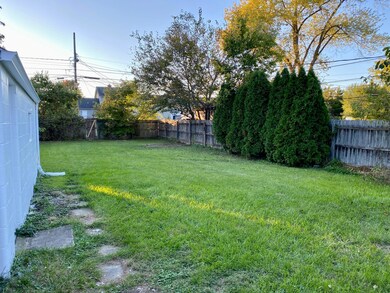 back yard