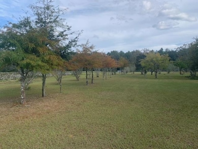 5656 Woodhaven Rd, Pavo, GA 31778 - photo 2