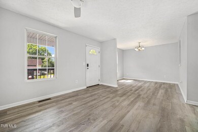 509 Pardee St, Johnson City, TN 37601 - photo 6