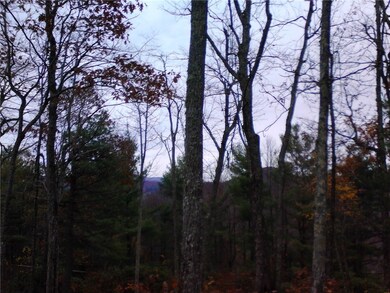 Lot  20 Boulder Cay Rd, Boone, NC 28607 - photo 7