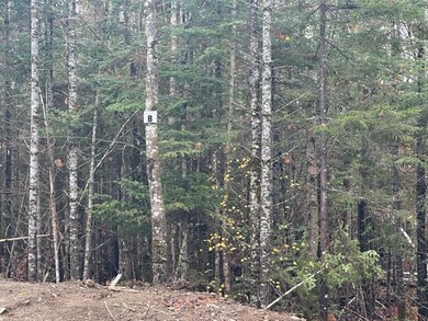 Lot F Whitetail Trail, Greenville, ME 04441 - photo 6