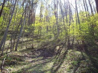 000 Bannick Springs Rd, Whittier, NC 28789 - photo 7