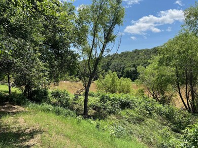 340 S Lazy Bend Estates Rd, Millsap, TX 76066 - photo 6