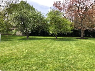 Lovely rear yard with pine trees along border.
