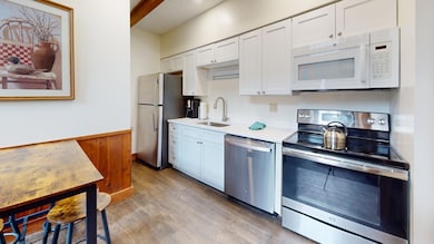 47 Whistlepunk Ln, Snowshoe, WV 26209 - photo 5