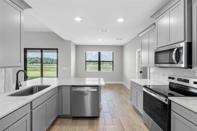 13501 Walden Sheffield Rd, Dover, FL 33527 - photo 3