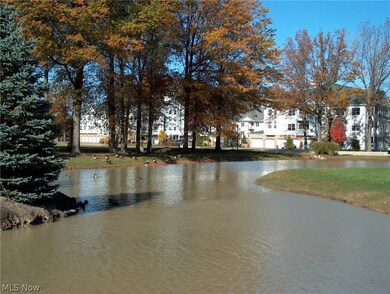 1314 Aqua Marine Blvd, Avon Lake, OH 44012 - photo 3