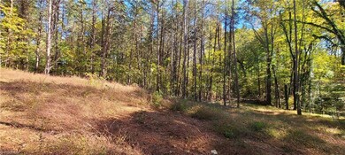 Cleared area.