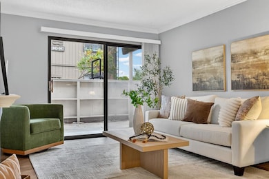 949 Fulton Ave unit 525, Sacramento, CA 95825 - photo 6