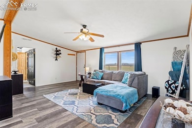Living area featuring a ceiling fan, ornamental mo