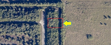 1431 Madden Ave, Palm Bay, FL 32908 - photo 3